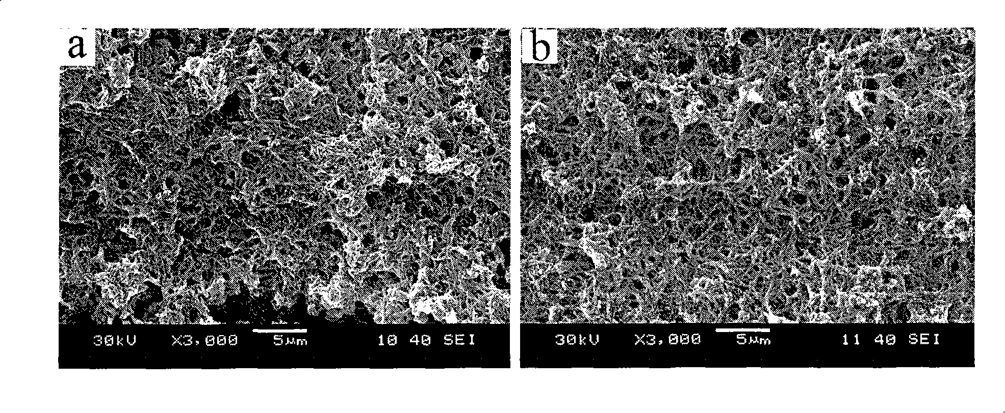 Nano-polyaniline material with morphology inheritance and electrochemical preparation method