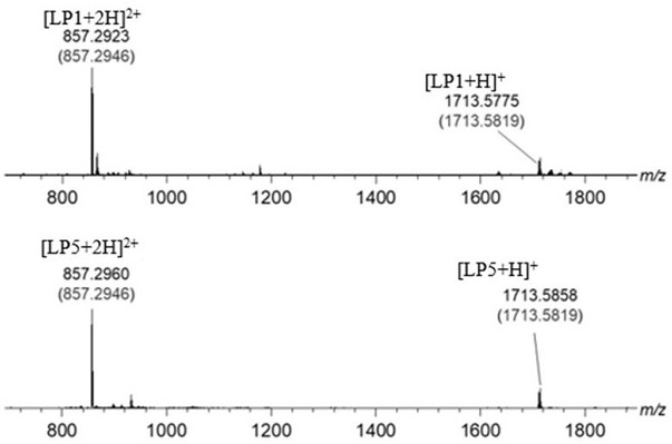 Ir (III)-based chiral metal-organic porous material with splitting function as well as preparation method and application of Ir (III)-based chiral metal-organic porous material