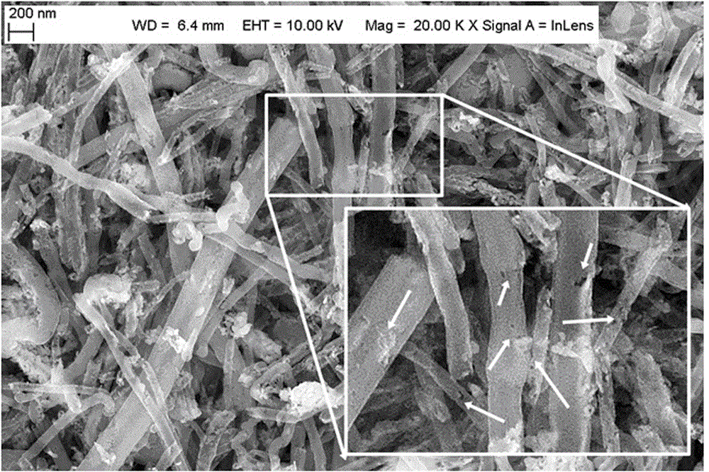 Carbon nanofiber filled with metal oxide nanoparticles and preparation method thereof