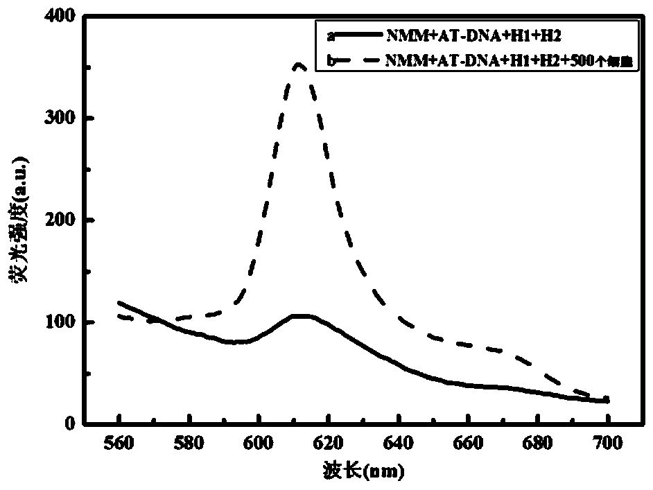 A method for homogeneous non-standard detection of telomerase activity based on triple amplification technology