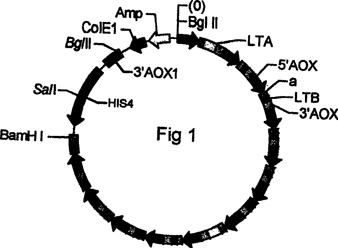 Process for preparing heat-labile enterotoxin of E, coli