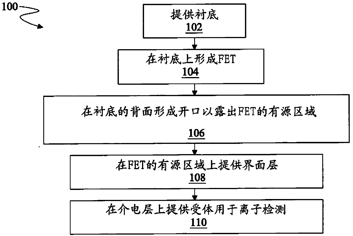 system-and-method-for-signal-amplification-with-a-dual-gate-bio-field