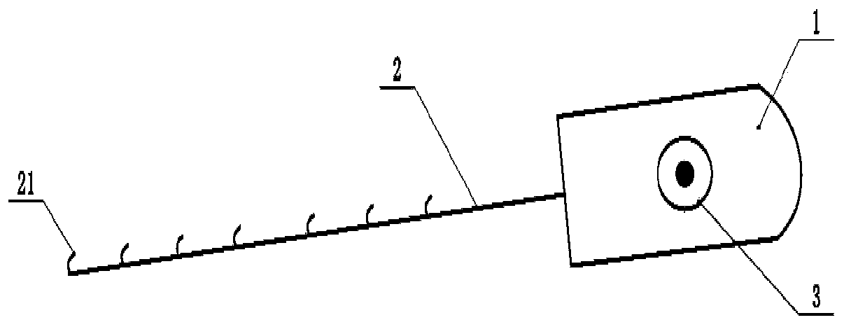 Tooth uprighting device and method