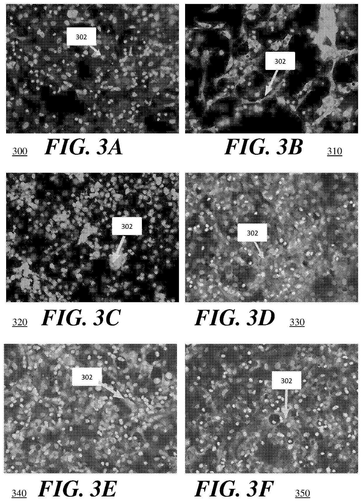 High throughput method for accurate prediction of compound-induced liver injury