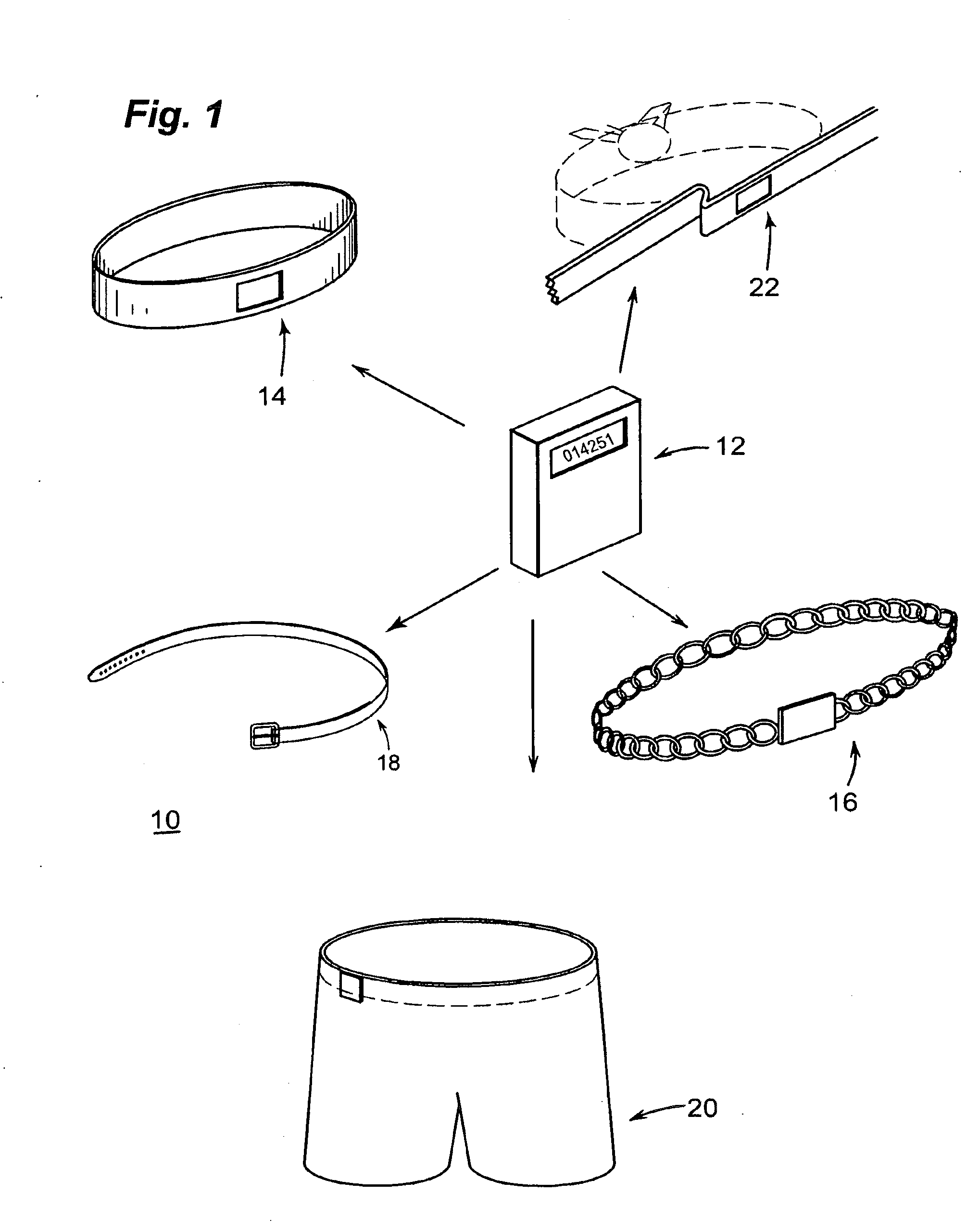 Wearable fitness device and fitness device interchangeable with plural wearable articles