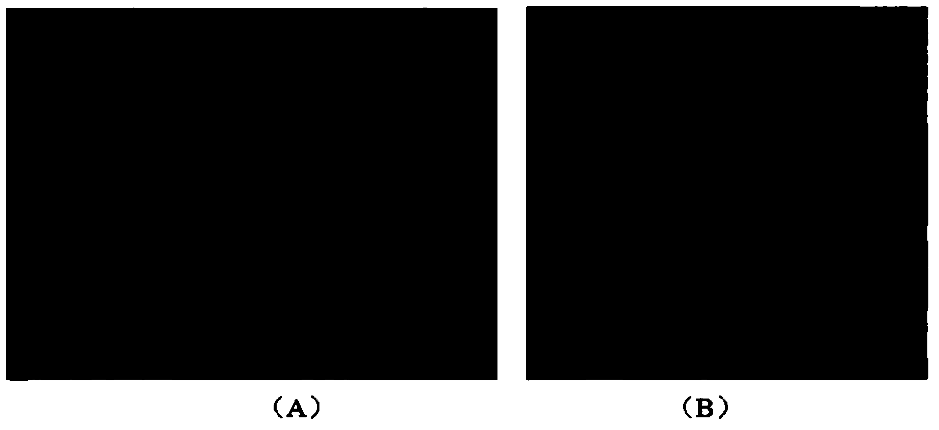 Tissue repair support and its preparation method and use