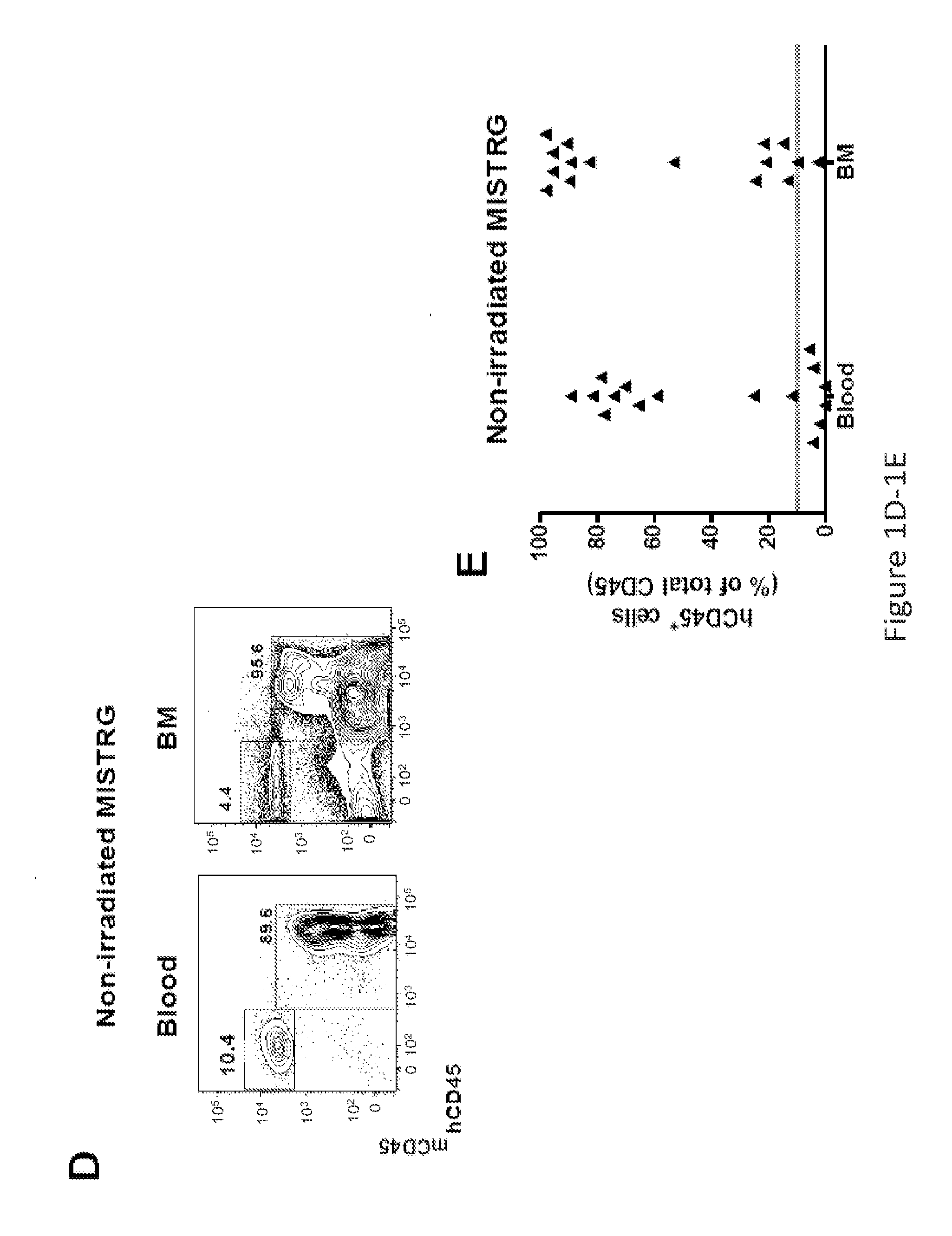 Genetically modified non-human animals and methods of use thereof