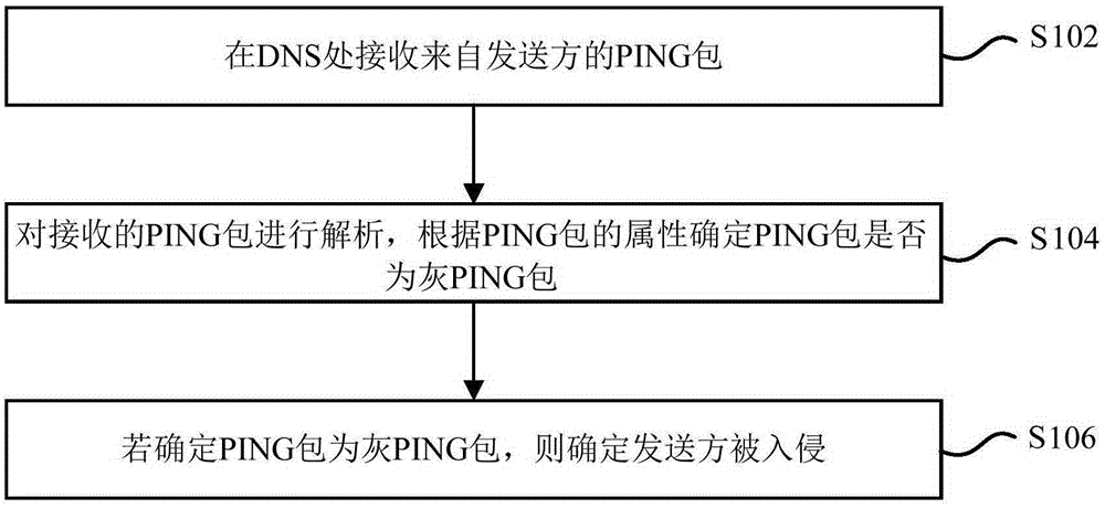 PING (Packet Internet Groper) packet detection method and device for DNS (Domain Name System)