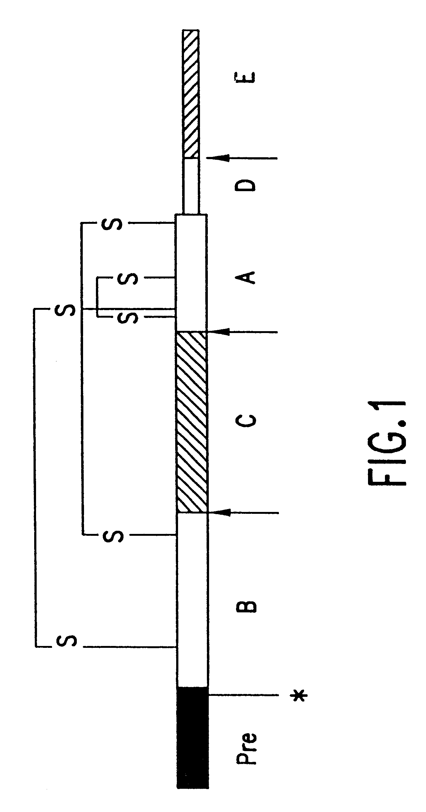 Nucleic acids and proteins of C. elegans insulin-like genes and uses thereof