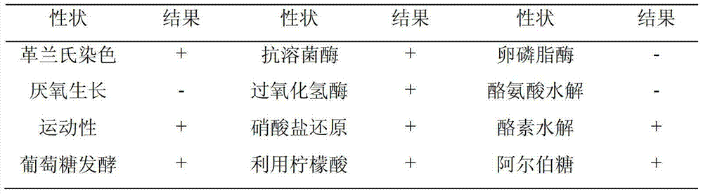 Biocontrol Strain dx3 for Controlling Tomato Yellow Leaf Curl Virus and Its Application