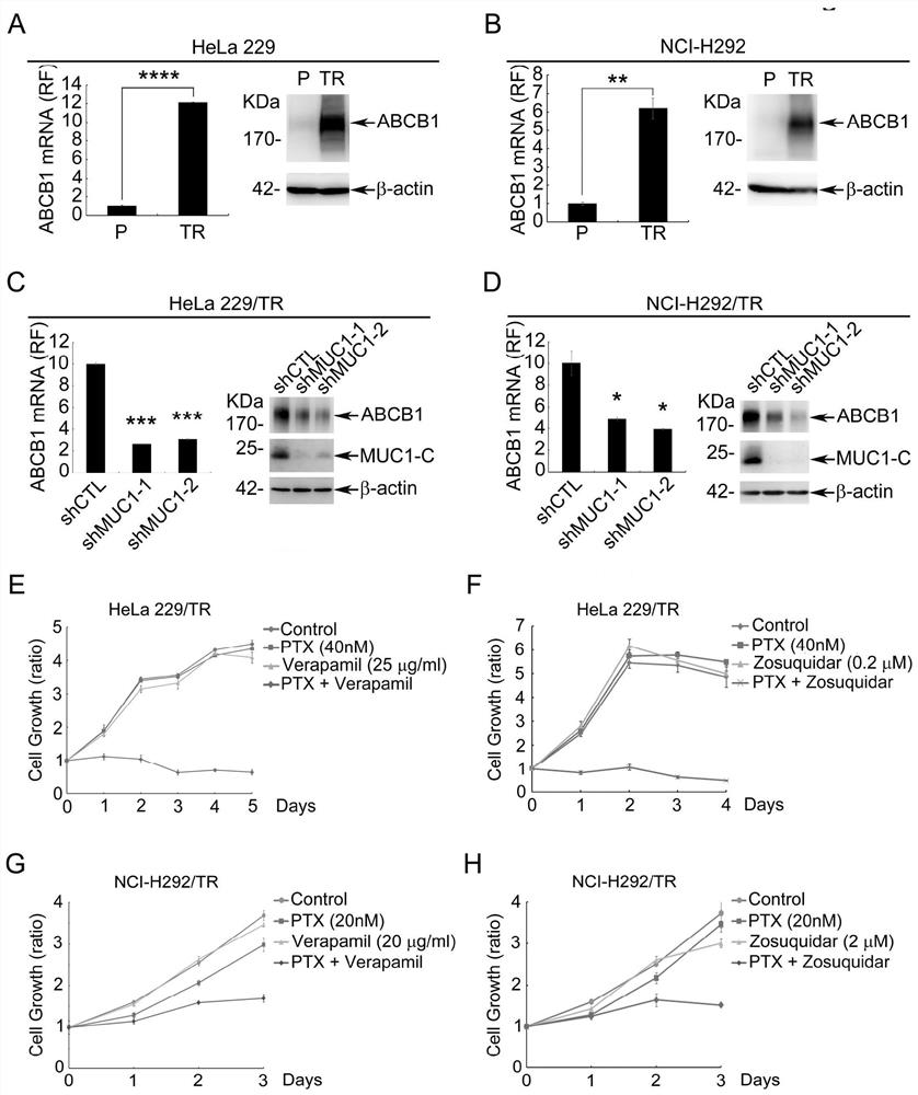 Application of egfr inhibitors in the preparation of drugs for the treatment of muc1 positive tumors