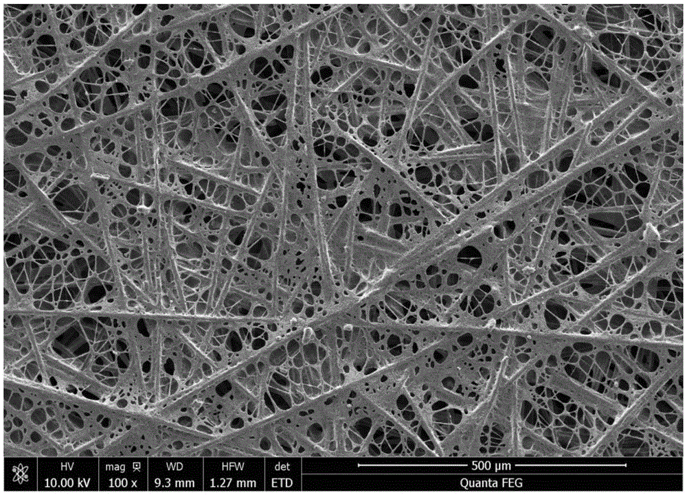 Nano carbon-doped porous fiber single electrode, membrane electrode and preparation method