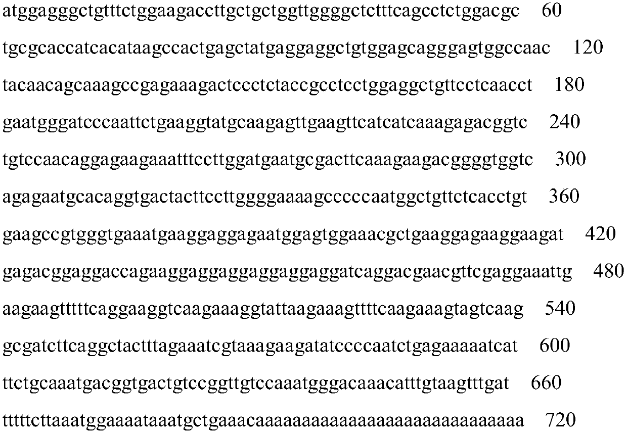 Natural anti-infection and anti-tumor bifunctional polypeptide ecct and its gene and application