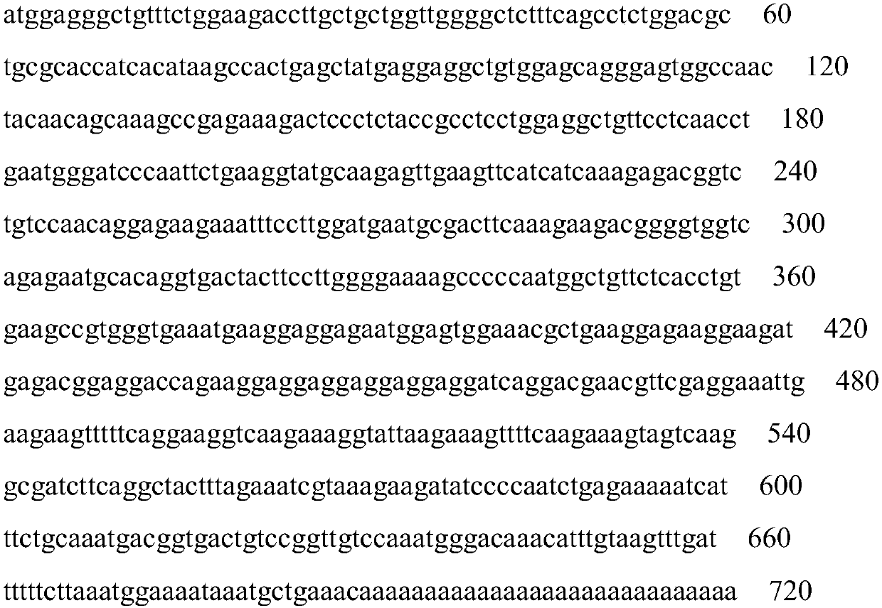 Natural anti-infection and anti-tumor bifunctional polypeptide ecct and its gene and application