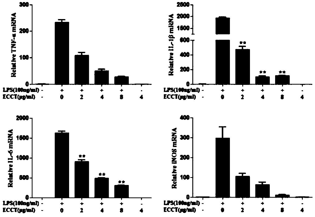 Natural anti-infection and anti-tumor bifunctional polypeptide ecct and its gene and application