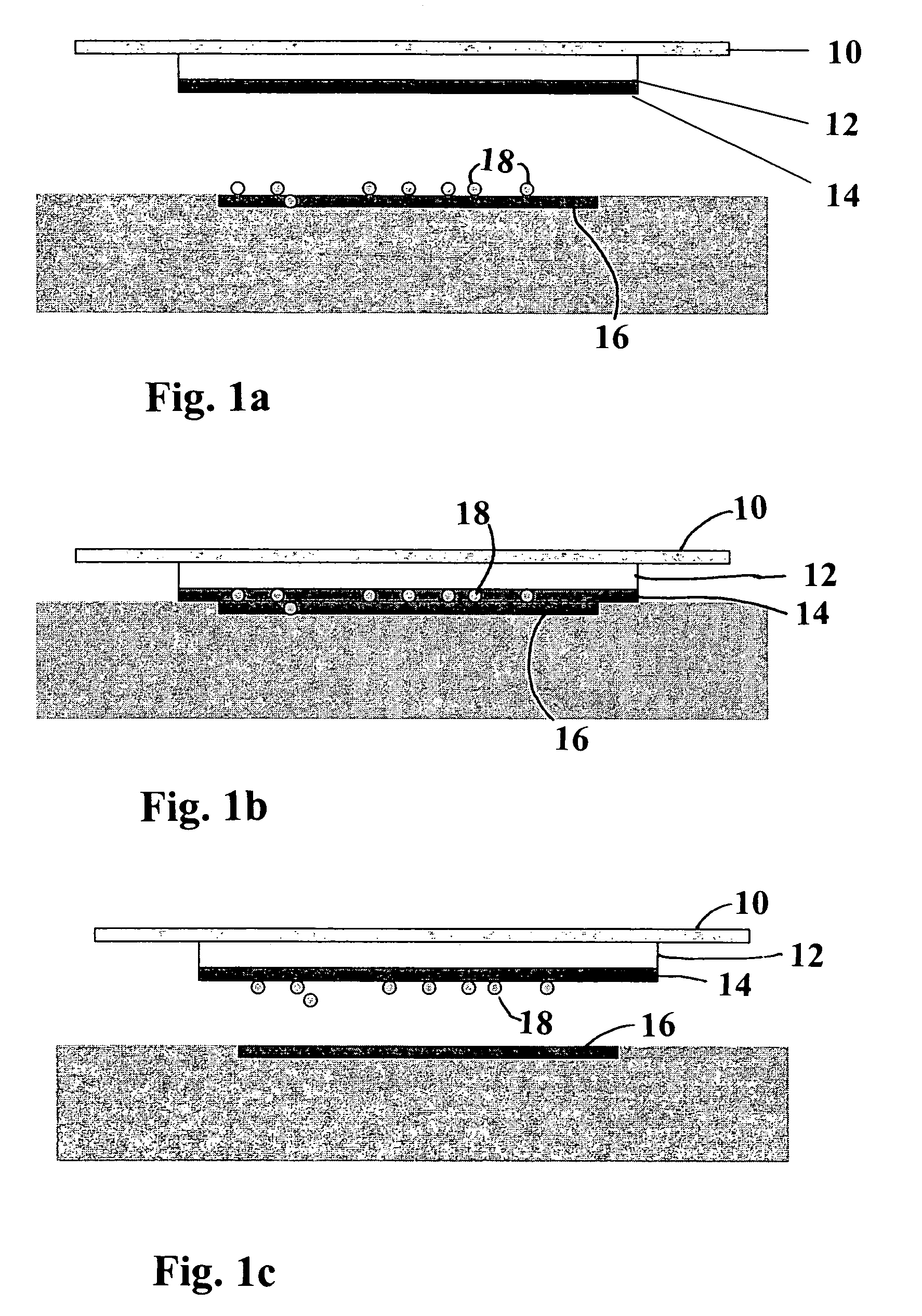 Wound dressing with a bacterial adsorbing composition
