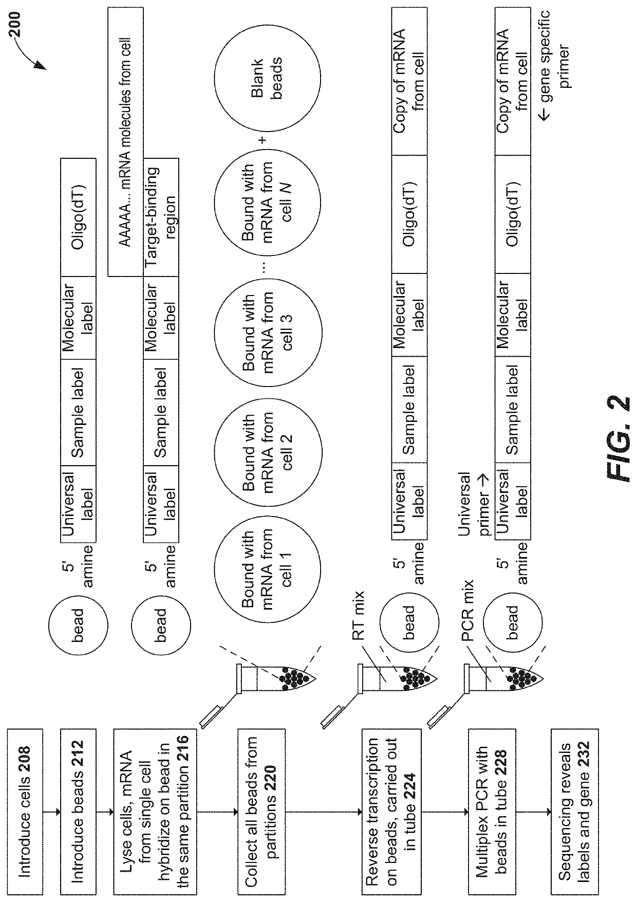 Single cell secretome analysis