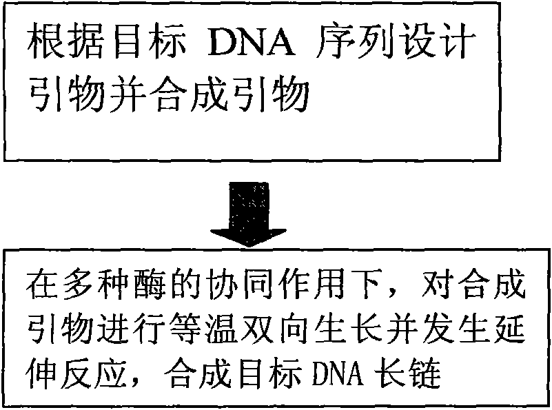 Method for synthesizing gene growing at constant temperature in double directions