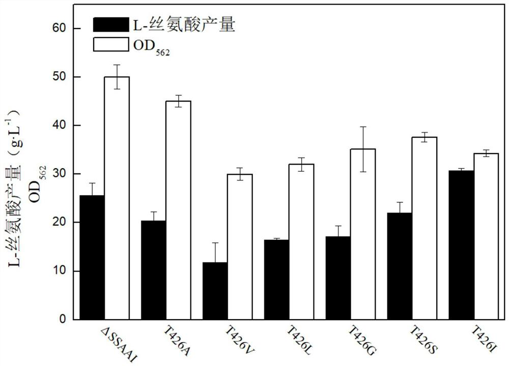 Enzymatic activity-changed amino deoxychorismate synthetase mutant T426I and application thereof