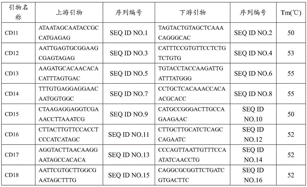 Method for constructing fingerprint of phaseolus vulgaris according to SSR (simple sequence repeat) molecular marker and application
