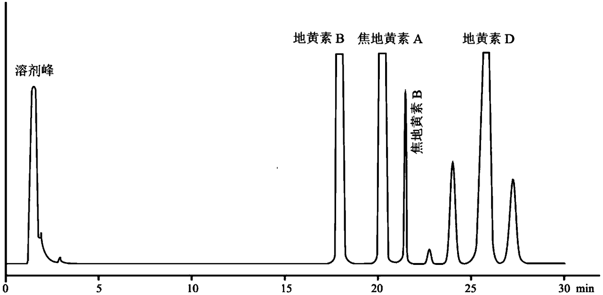 Rehmannia extract, preparation method and application in promoting CIK cell in-vitro proliferation