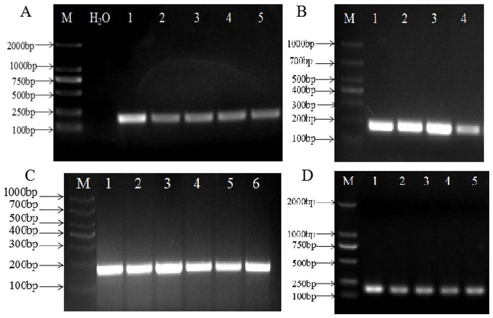 Gene regulating sugar content in tomato fruit and its application