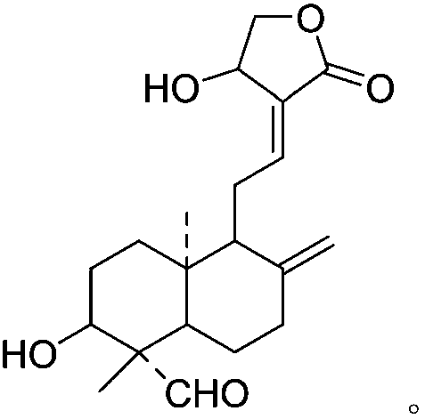 Oxidized andrographolide, preparation method and application in enhancing of in-vivo killing capacity of CIK (cytokine induced killer) cells