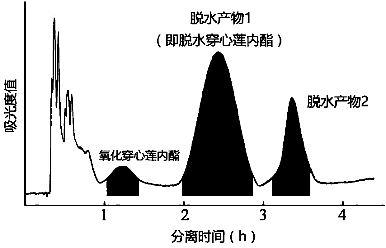 Oxidized andrographolide, preparation method and application in enhancing of in-vivo killing capacity of CIK (cytokine induced killer) cells