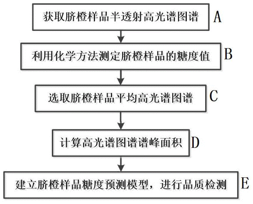 Rapid modeling method for detecting sugar content of navel orange based on spectral peak area in high spectral transmission technology