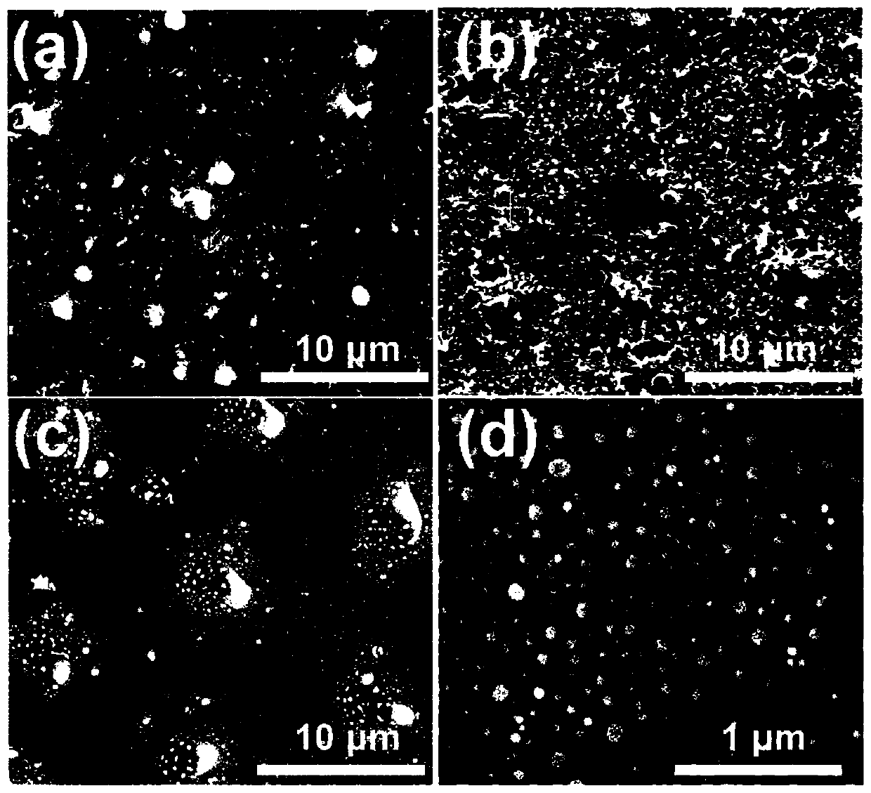 Patterned nuclear-shell nanoparticle surface enhanced Raman spectroscopy (SERS) active substrate and preparation method