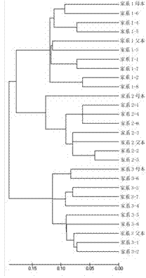 Molecular marking method for discriminating different family of Cyprinus carpiovar jian