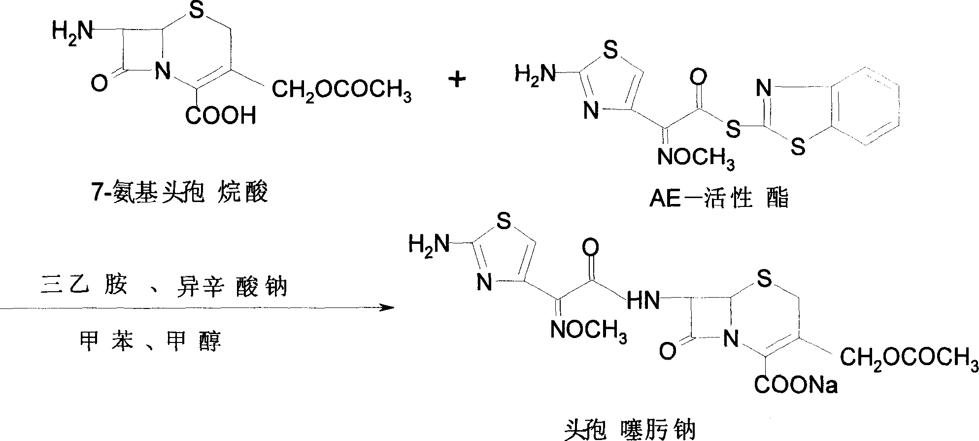 One-step preparation process of aseptic cefotaxime sodium for injection