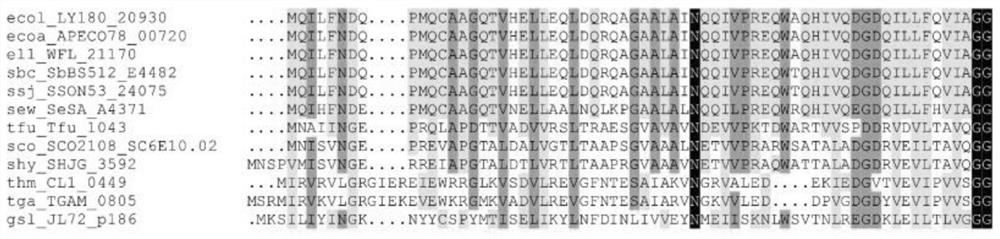 A kit for studying ubiquitin-like system in bacteria and its application