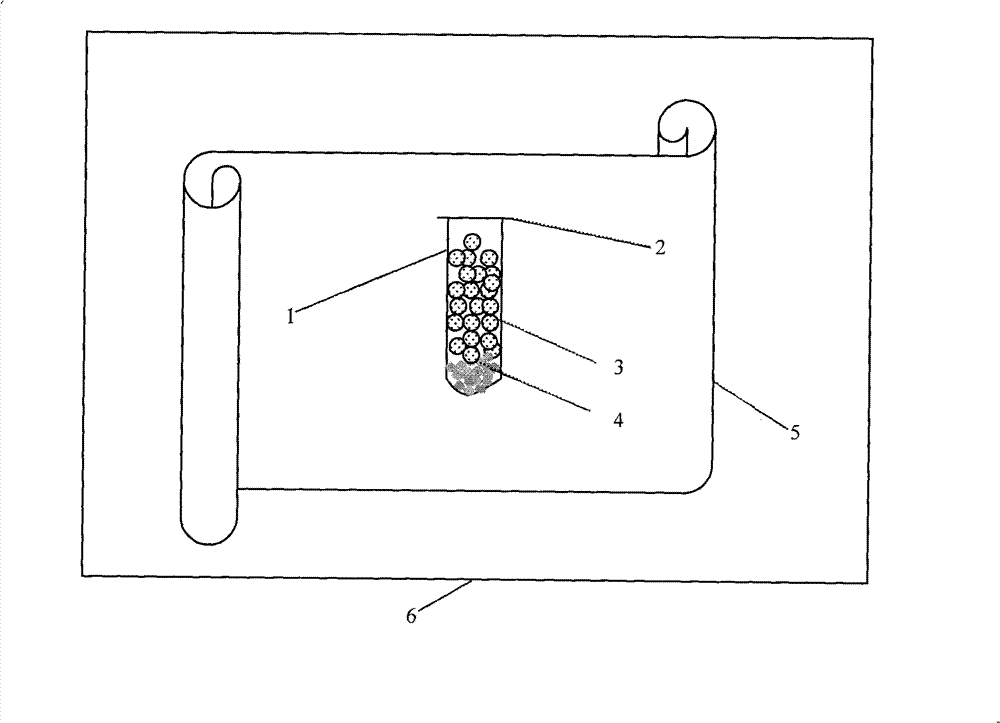 Anhydrous transportation method for medaka zygotes