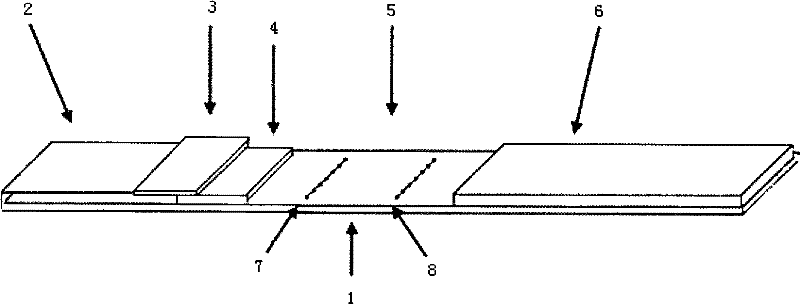 Reagent kit for detecting troponin I and preparation and use method thereof
