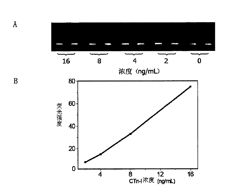Reagent kit for detecting troponin I and preparation and use method thereof