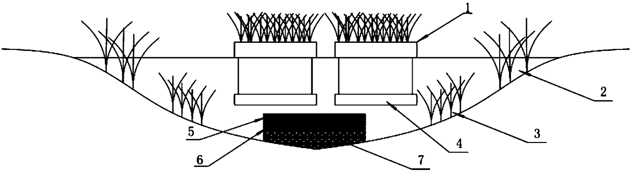 System for purifying sewage lake through plant activity