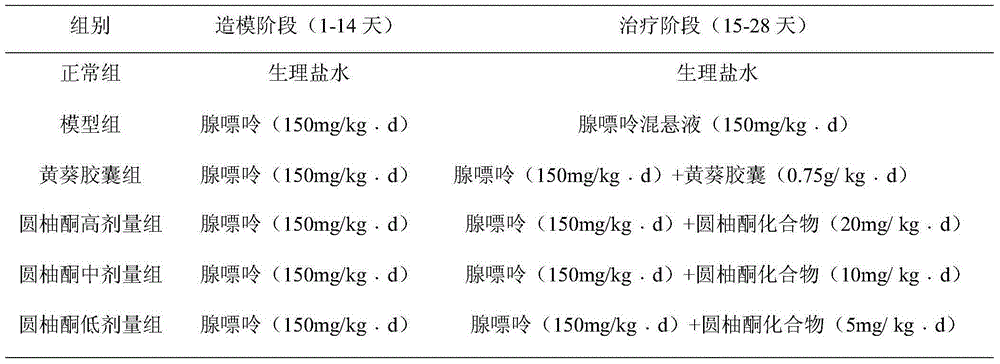 Sharpleaf galangal fruit extract capable of treating chronic kidney diseases and applications thereof