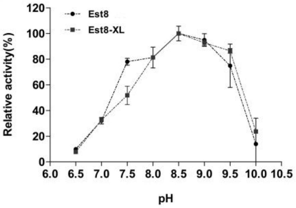 Esterase mutant Est8-XL with improved activity and application thereof