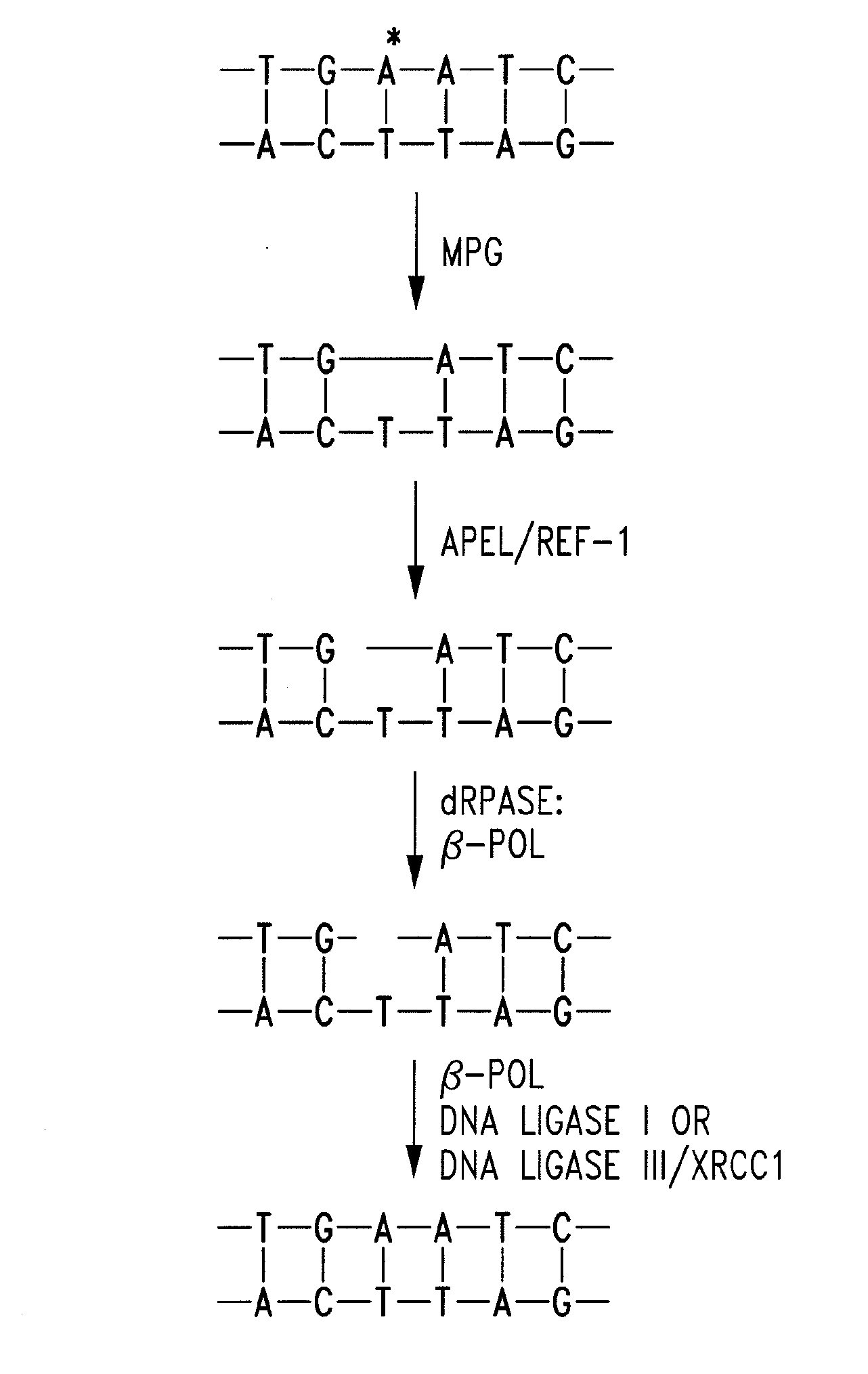 Quinone derivatives, pharmaceutical compositions, and uses thereof