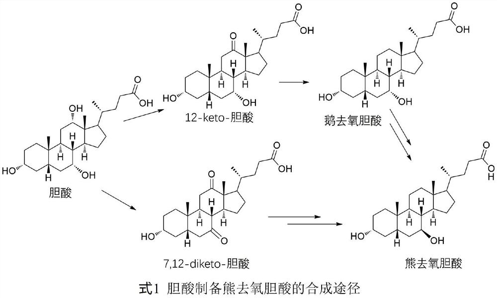 12-hydroxycholic acid dehydrogenase and application thereof