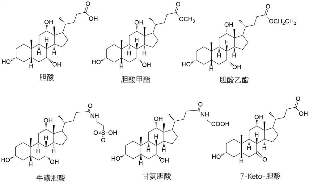 12-hydroxycholic acid dehydrogenase and application thereof