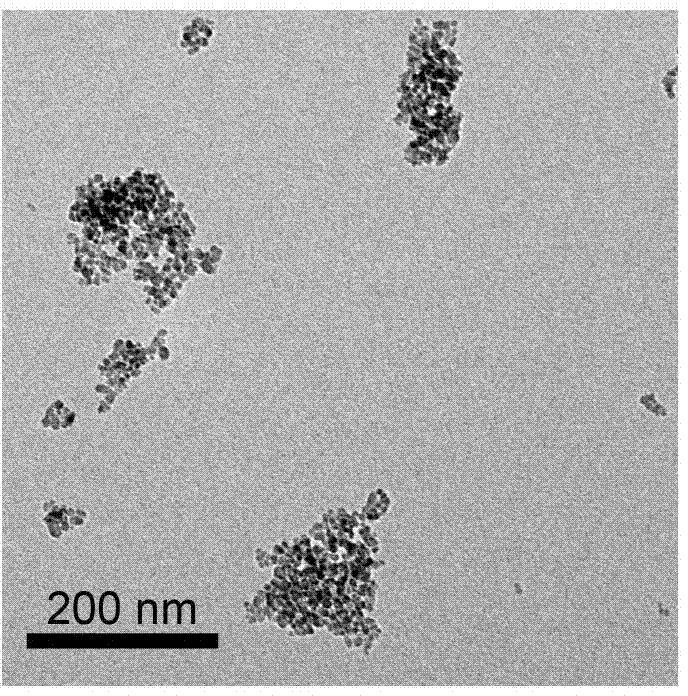 Surface modified nano ferroferric oxide Fenton catalyst and preparation method thereof