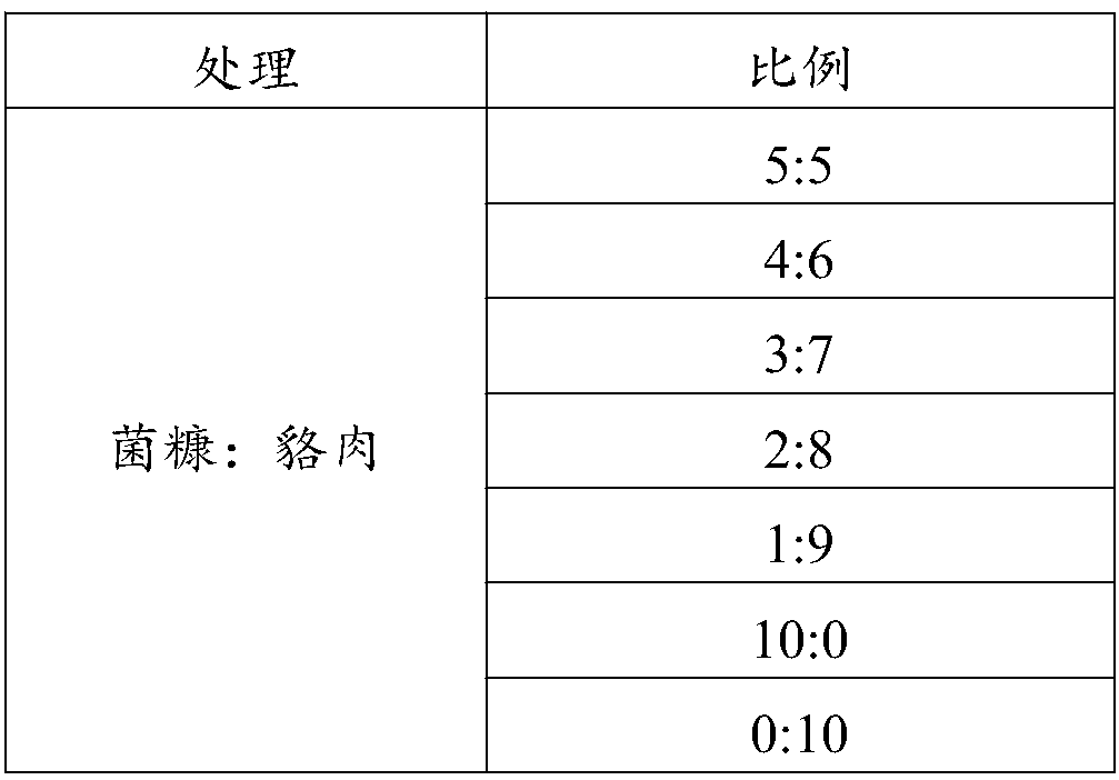 Hermetia illucens feed containing racoon dog meat and preparation method of hermetia illucens feed containing racoon dog meat