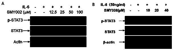 Preparation method and application of naphthylamine compounds and salts thereof