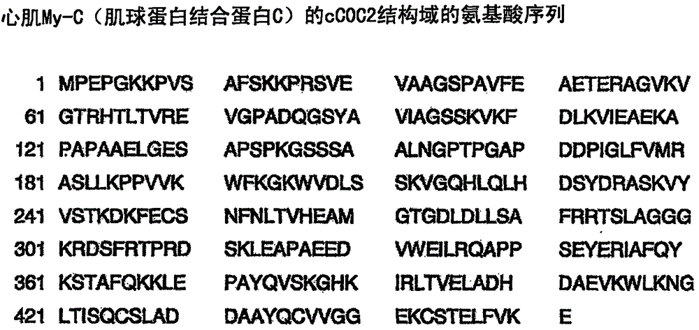 Hybridoma cell lines (my-c-cc0c2-259-1 a4) and use thereof for producing a monoclonal antibody against human cardiac myosin binding protein c (c-protein, mybpc3, cmybp-c or my-c)