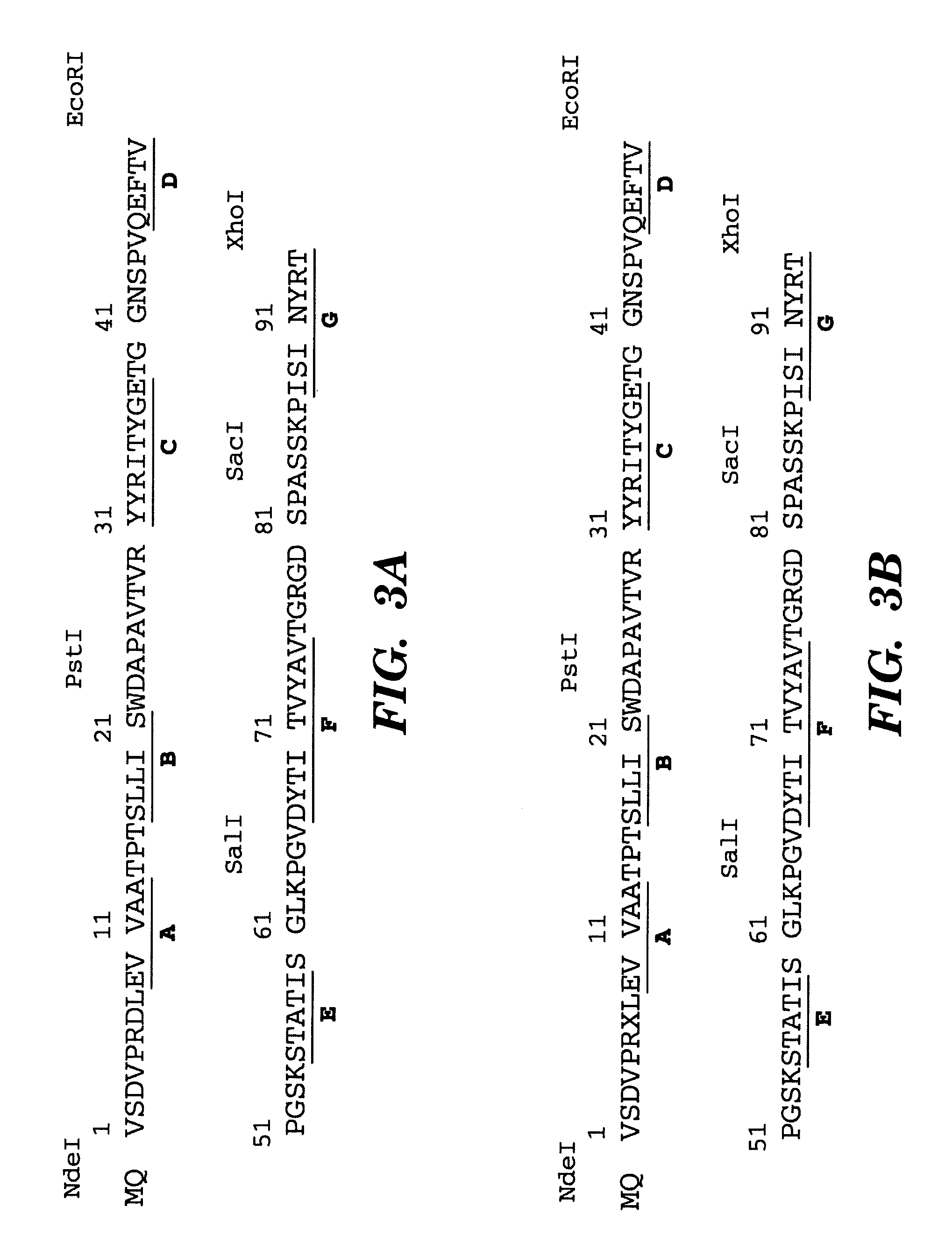 Method of identifying polypeptide monobodies which bind to target proteins and use thereof