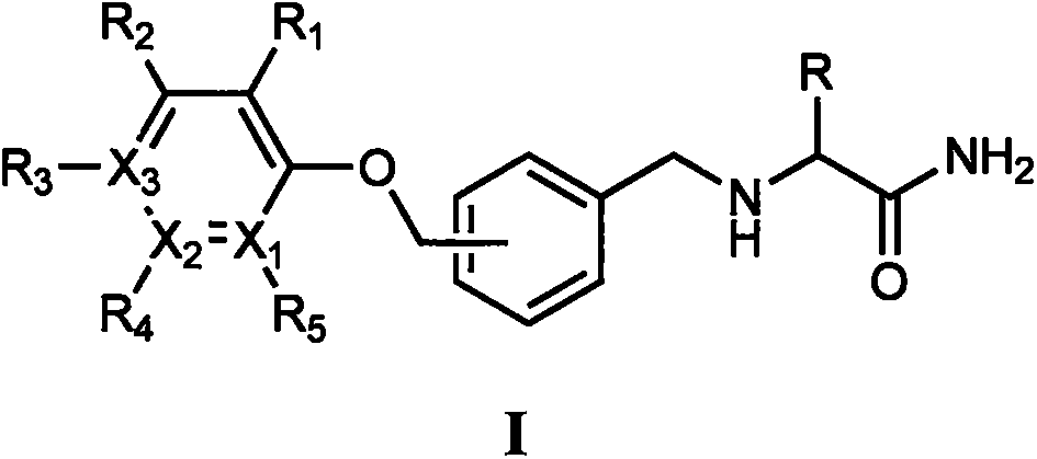 Novel alpha-amino amide derivatives and pharmaceutical use thereof