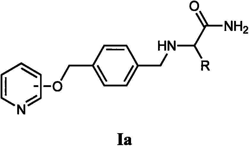 Novel alpha-amino amide derivatives and pharmaceutical use thereof