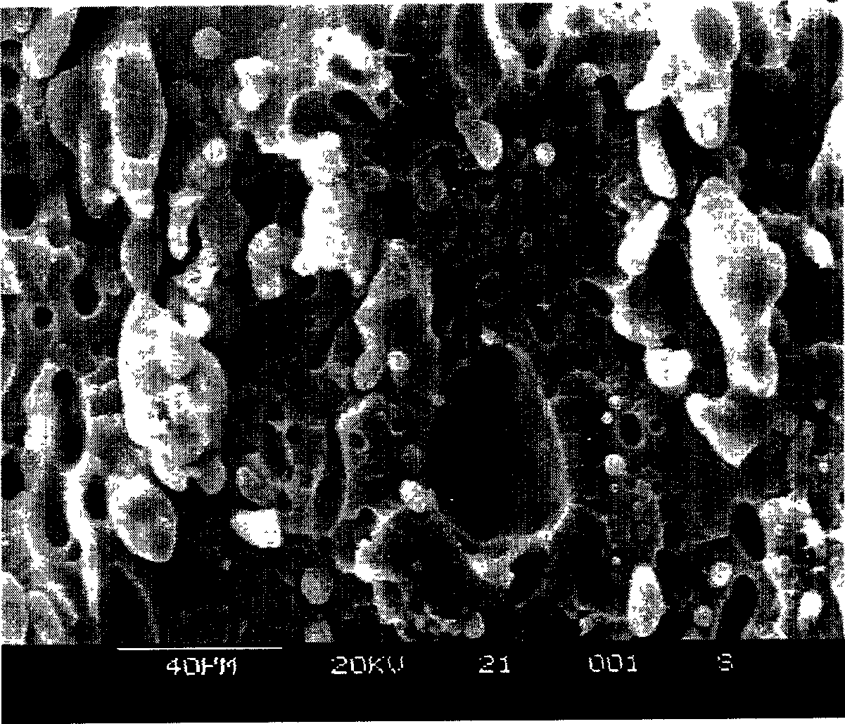 Porous polypropylene particle suspension solid phase graft-modification method